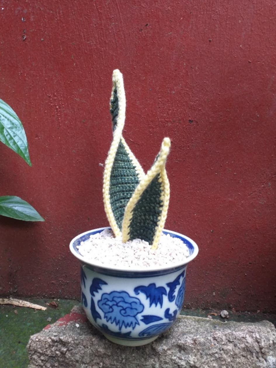 Snake Plant Crochet Pattern 